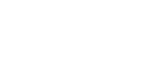 Moscow government